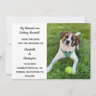 Mijn Mensen Gaan Trouwen Hond Foto Save The  Date