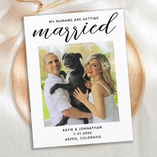 Mijn mensen worden gehuwd. Eenvoudig hondenweddens Aankondigingskaart