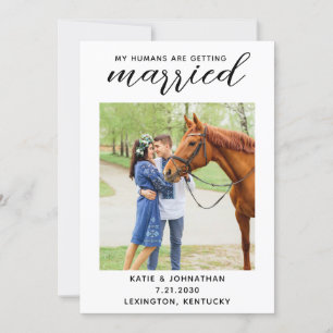 Mijn mensen worden gehuwd met paardenpaarden. save the date