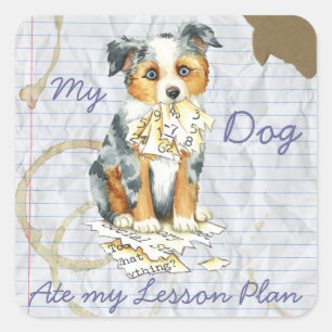 Mijn Mini American Shepherd Ate Mijn Lesson Plan Vierkante Sticker