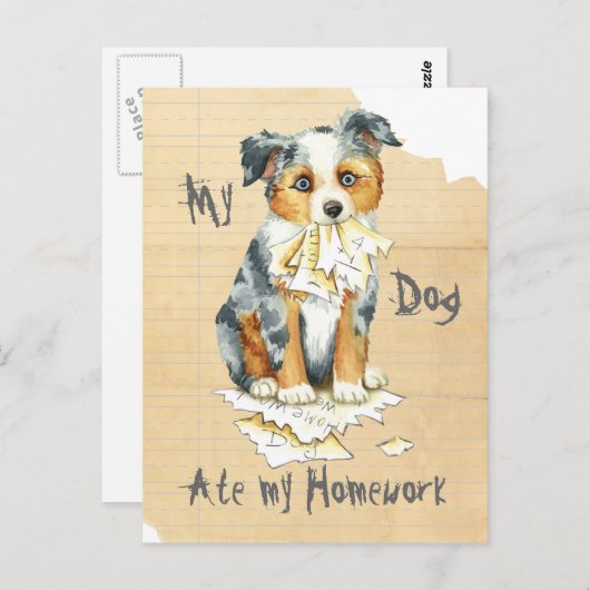 Mijn Mini American Shepherd Ate Mijn thuiswerk Briefkaart (Voorkant / Achterkant)