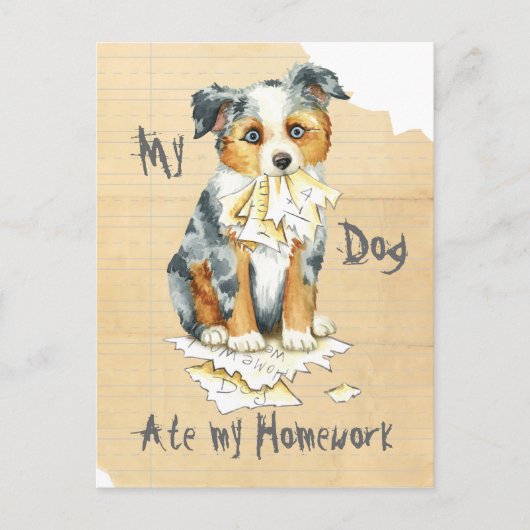Mijn Mini American Shepherd Ate Mijn thuiswerk Briefkaart (Voorkant)