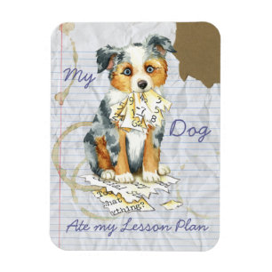 Mijn Mini American Shepherd Ate My Lesson Plan Magneet
