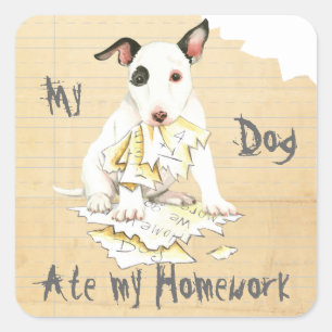 Mijn miniatuur Bull Terrier Ate Mijn thuiswerk Vierkante Sticker