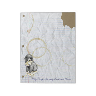 Mijn miniatuurrondje van mijn lesplan notitieblok