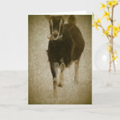 Mijn Misha Kaart (Gele Bloem)