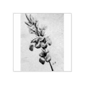 Mijn moeders Gladiolas Rubberstempel (Afrduk)