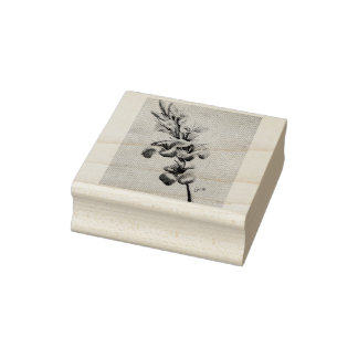 Mijn moeders Gladiolas Rubberstempel