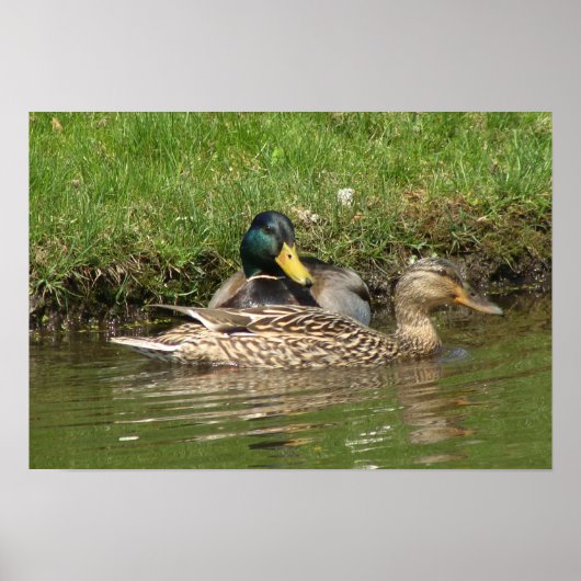 Mijn mooie meisje poster (Voorkant)