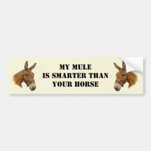 Mijn muil is slimmer dan je paarse Bumpersticker