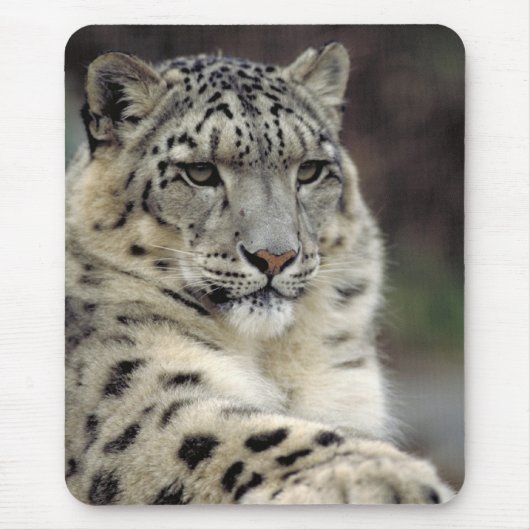 Mijn muis... muismat (Voorkant)