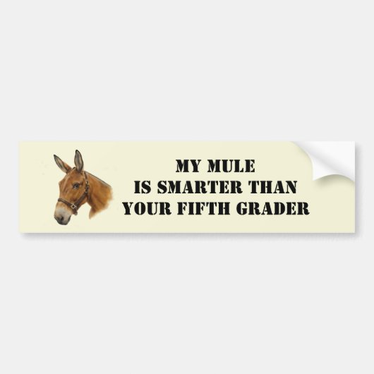 Mijn Mule is Smarter Bumpersticker (Voorkant)
