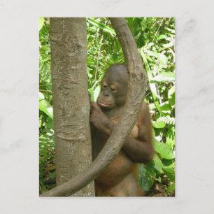 Mijn naam dragen in een boom briefkaart