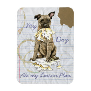 Mijn Nederlands Shepherd Ate mijn Lesson Plan Magneet