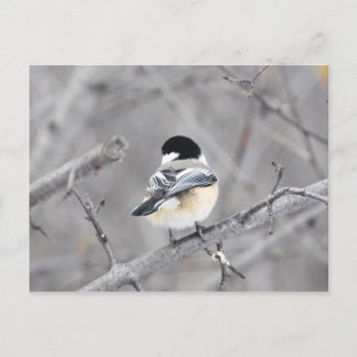 Mijn nieuwe winterjas, shinny. :) briefkaart