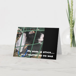 MIJN NOSE IS STUCK "IK WIL ALLEMAAL ZEGGEN" MAAR V KAART