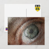 mijn oog briefkaart (Voorkant / Achterkant)