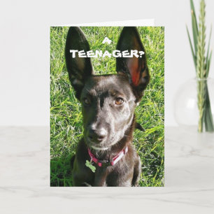 MIJN "OREN" KOMEN ZEKER VAN PAS "13th BIRTHDAY FUN Kaart