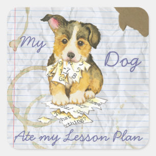 Mijn Pembroke Welsh Corgi Ate mijn Lesson Plan Vierkante Sticker