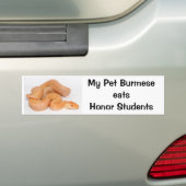 Mijn Pet Birmese eet de Bumpersticker van studente (Op auto)
