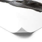 Mijn Pet Cat print Funny Cat T-Shirt 4 Letter Word (Hoek)