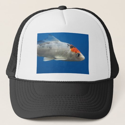Mijn Pet Koi Fish (Voorkant)