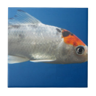 Mijn Pet Koi Fish Tegeltje
