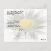 Mijn plaats briefkaart (Achterkant)