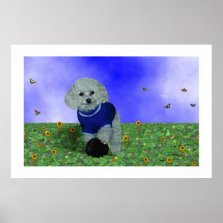 Mijn poedel en zijn bal. poster