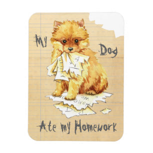Mijn Pommeren Ate Mijn Homework Magneet