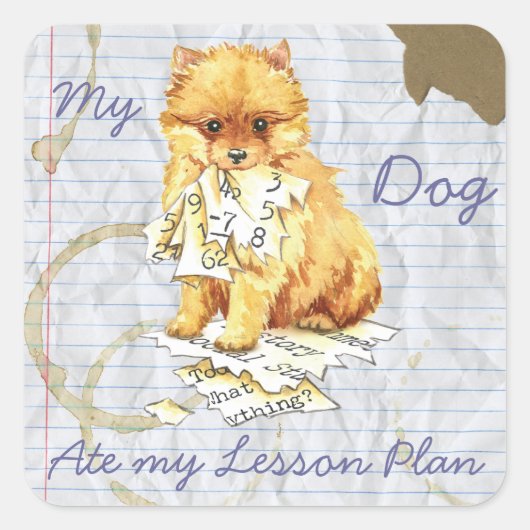 Mijn Pommern Ate My Lesson Plan Vierkante Sticker (Voorkant)