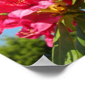 Mijn prinses, mijn vrouw poster (Hoek)