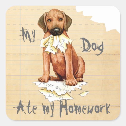Mijn Rhodezische Ridgeback Ate Homework Square Sti Vierkante Sticker (Voorkant)