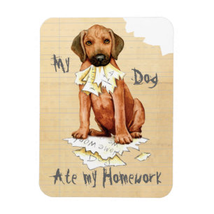 Mijn Rhodezische Ridgeback over mijn thuiswerknet Magneet