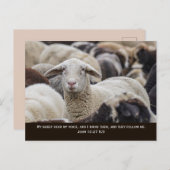 Mijn schaap hoort mijn stem, Johannes 10:27, Briefkaart (Voorkant / Achterkant)
