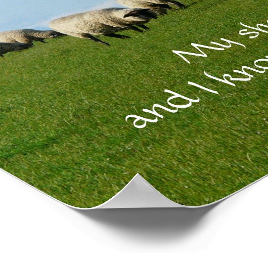 Mijn schaap hoort mijn stem Poster (Hoek)