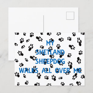 Mijn Shetland Sheepdog loopt over me heen Briefkaart