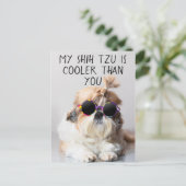 Mijn Shih Tzu Is Koeler Dan Jouw Zonnebril Foto Briefkaart (Staand voorkant)