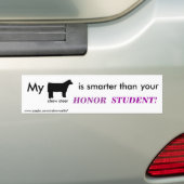 Mijn Show Steer is slimmer dan.... Bumpersticker (Op auto)