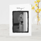 Mijn Slecht Kaart (Gele Bloem)