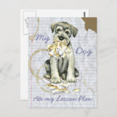 Mijn standaardplan Schnauzer Ate My Lesson Plan Briefkaart (Voorkant / Achterkant)