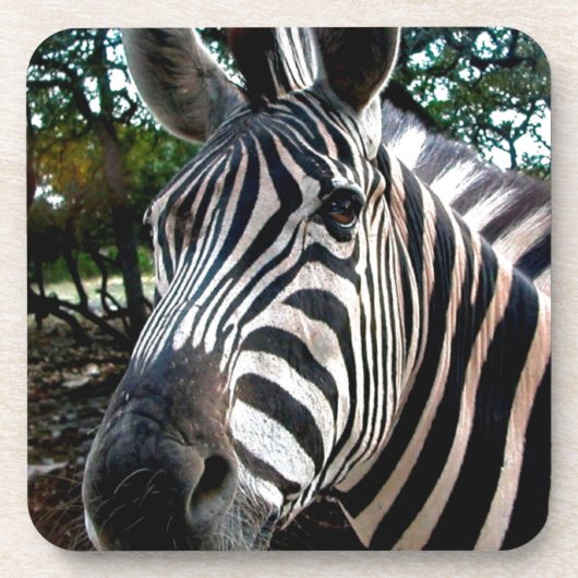 Mijn Strippy Friend Bier Onderzetter (Voorkant)