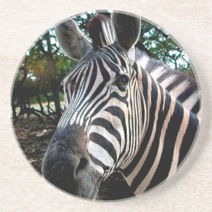 Mijn Strippy Friend Zandsteen Onderzetter