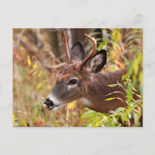 Mijn tong, opgelet! briefkaart (Voorkant)