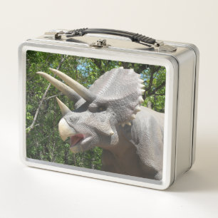 Mijn Triceratops Dinosauriërs