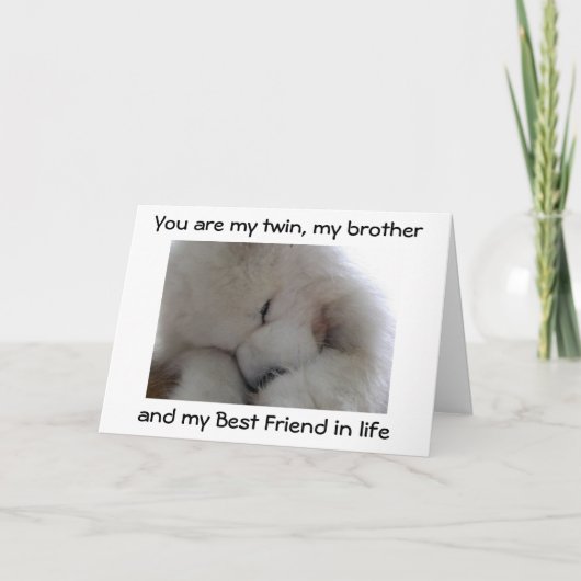 MIJN TWEELINGBROER / BESTE VRIEND OP JE VERJAARDAG KAART (Voorkant)