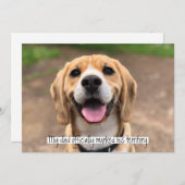 Mijn vader markeerde officieel zijn territorium kaart (Voorkant / Achterkant)