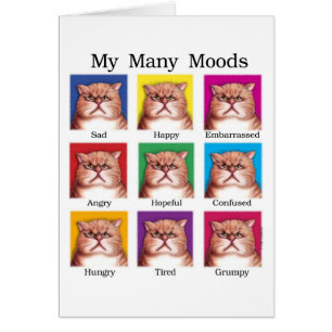 Mijn vele Moods