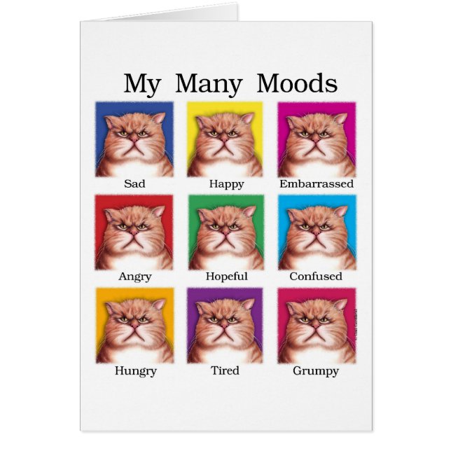Mijn vele Moods (Voorkant)