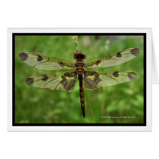 "Mijn  vleugels" - Dragonfly